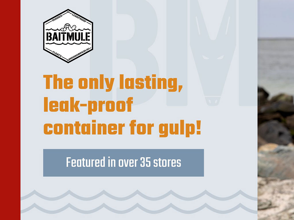 Baitmule Pitch Deck